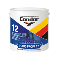 Condor_haus_proff_12