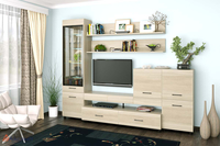 Livingroom-kameliya-5